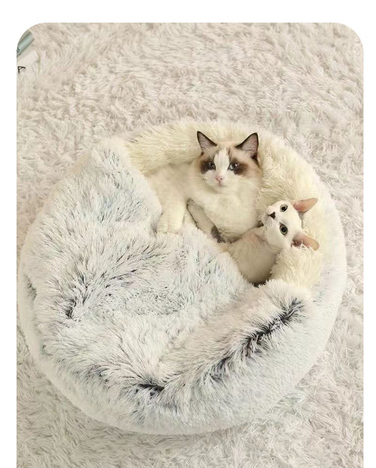 Two cats sharing the cozy plush nest