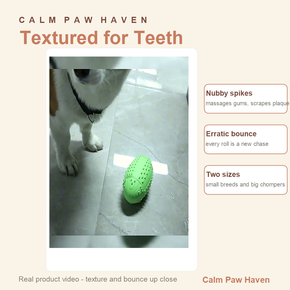 Treat Dispensing Ball - detail