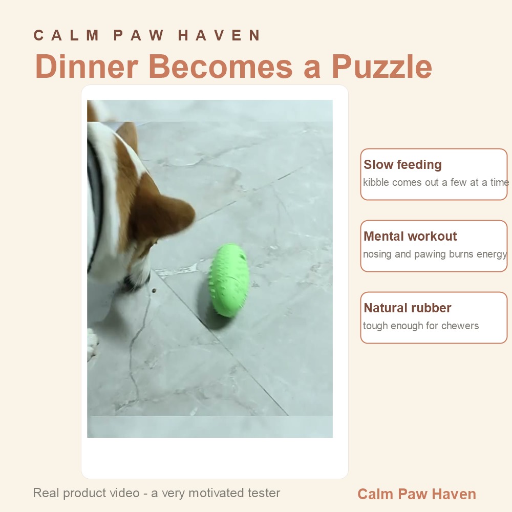 Treat Dispensing Ball - in use